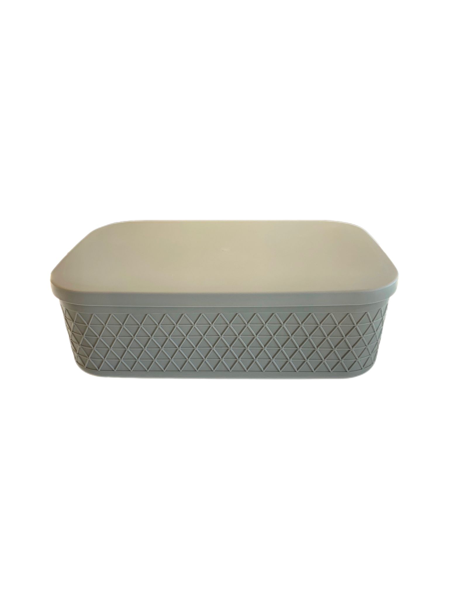 Medium Container w/ Lid (LOF19)