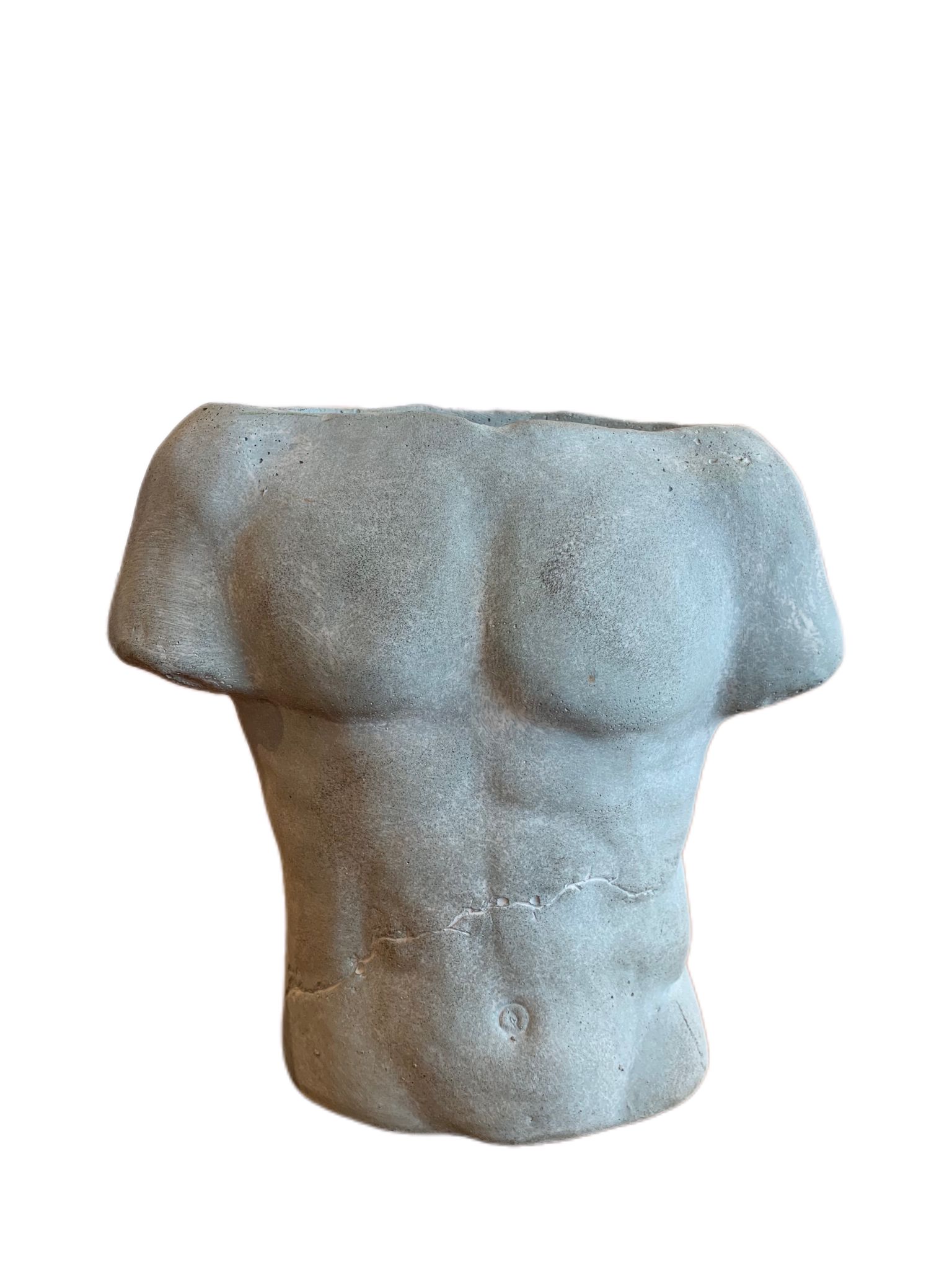 male-torso-planter