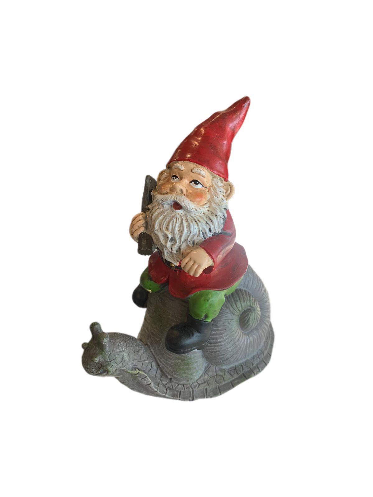 2a-6-gnome-on-snailturtle