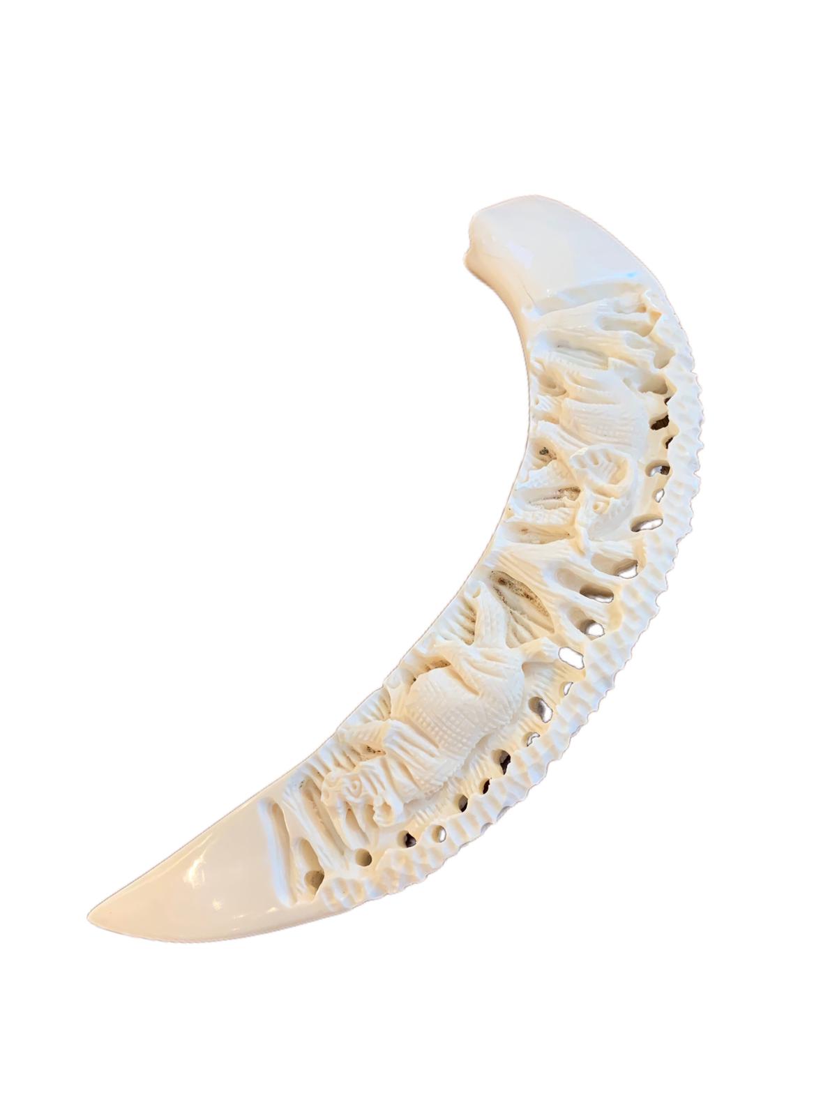 ivory-tusk-engraved-and-polished