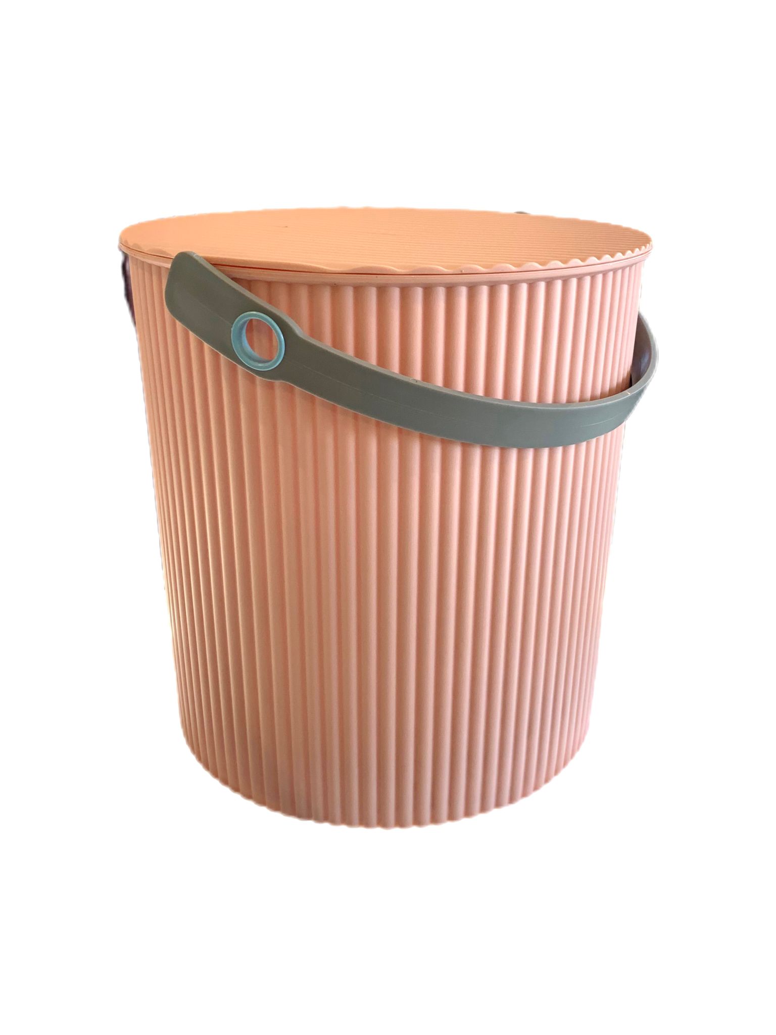 large-container-w-lid