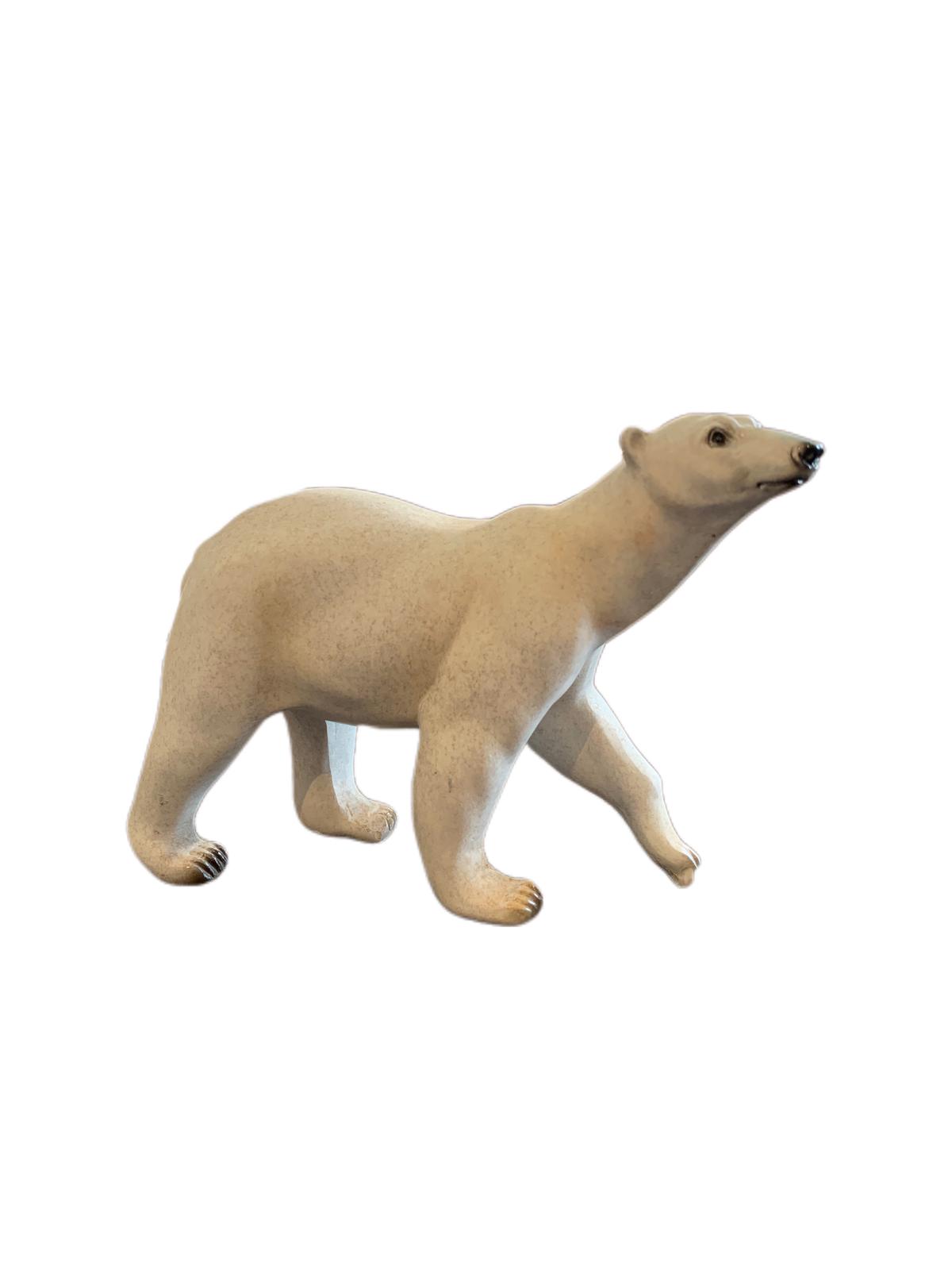 polar-bear