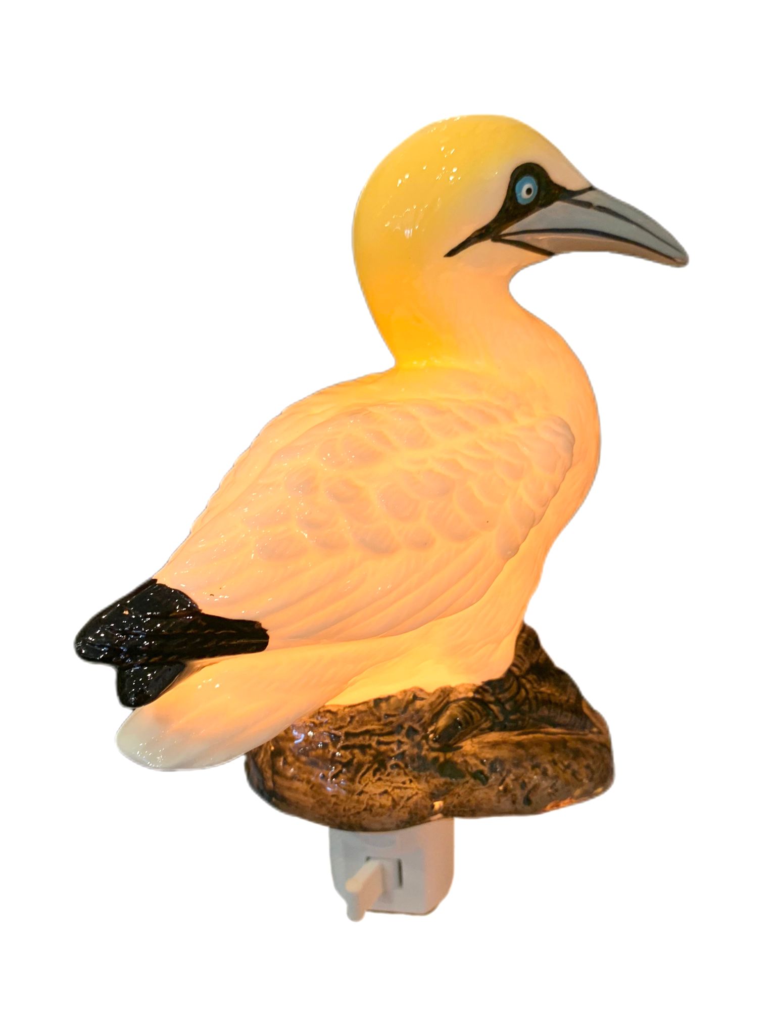 gannet-duck-bird-nl