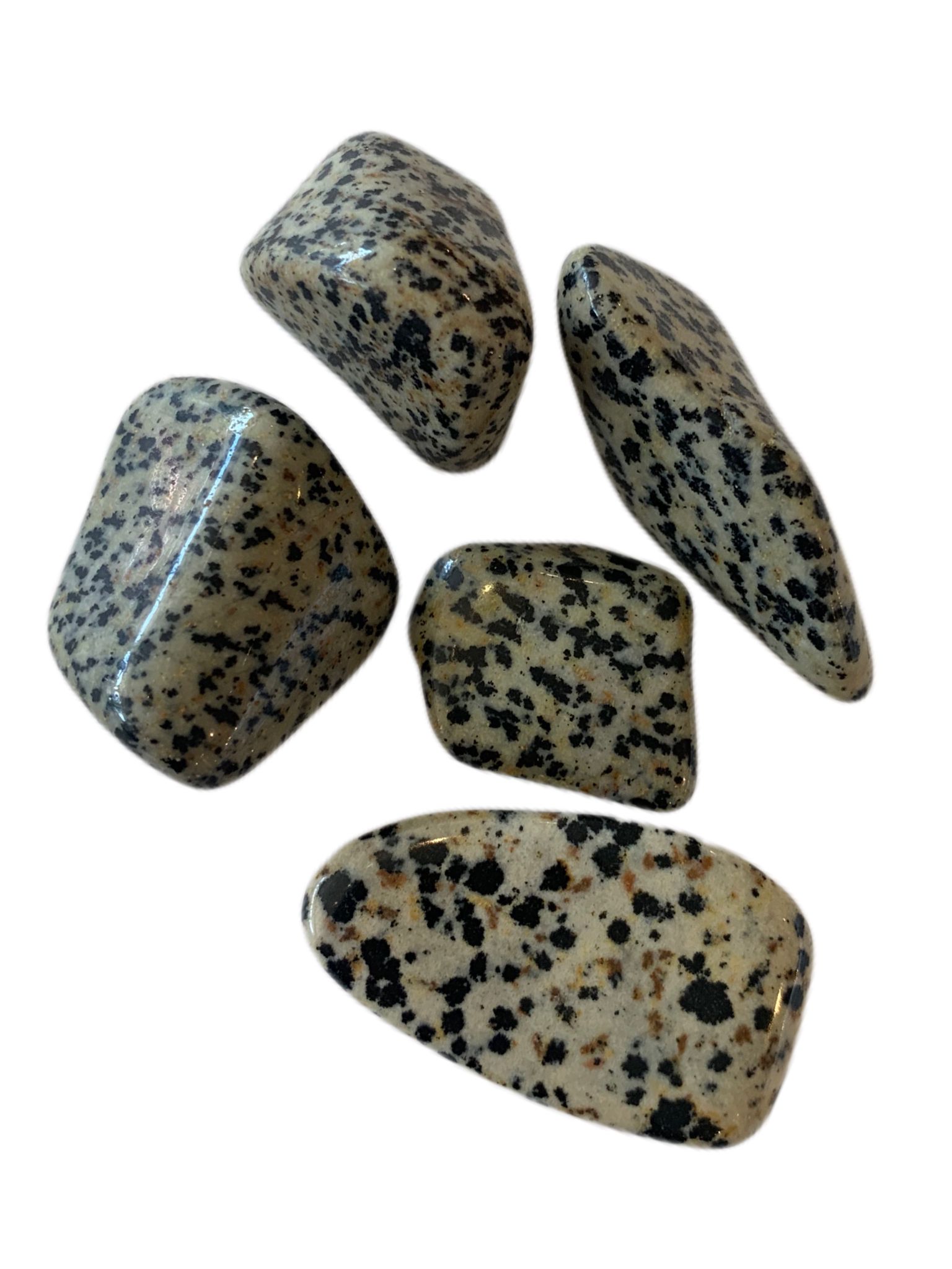 tumbled-stones-dalmatian-jasper