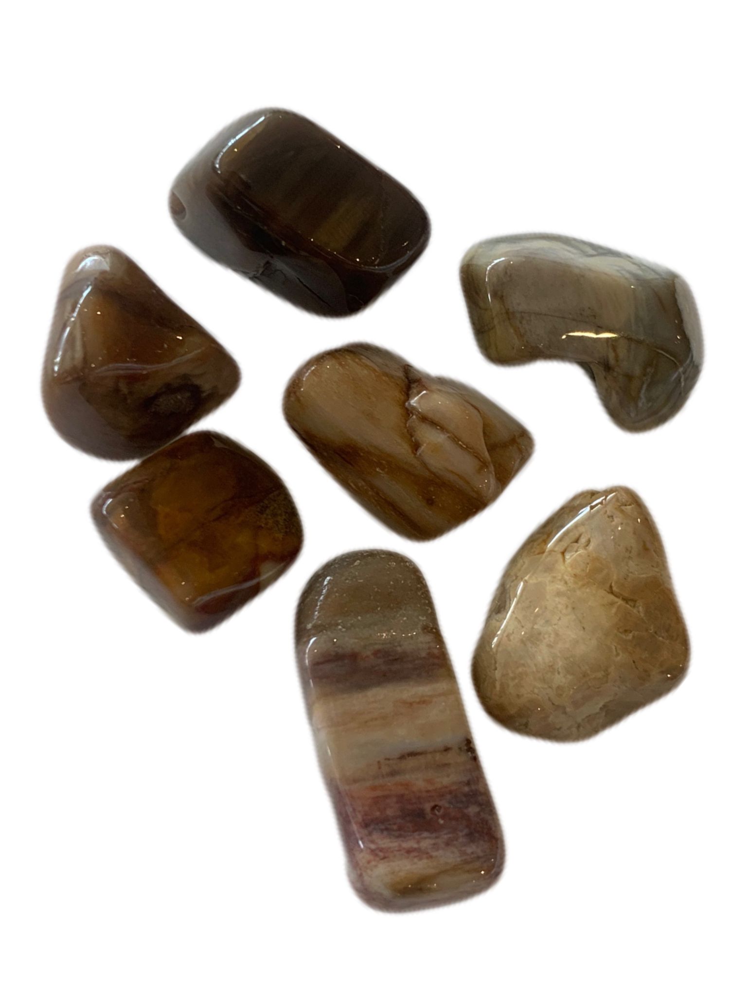 tumbled-stones-petrified-wood