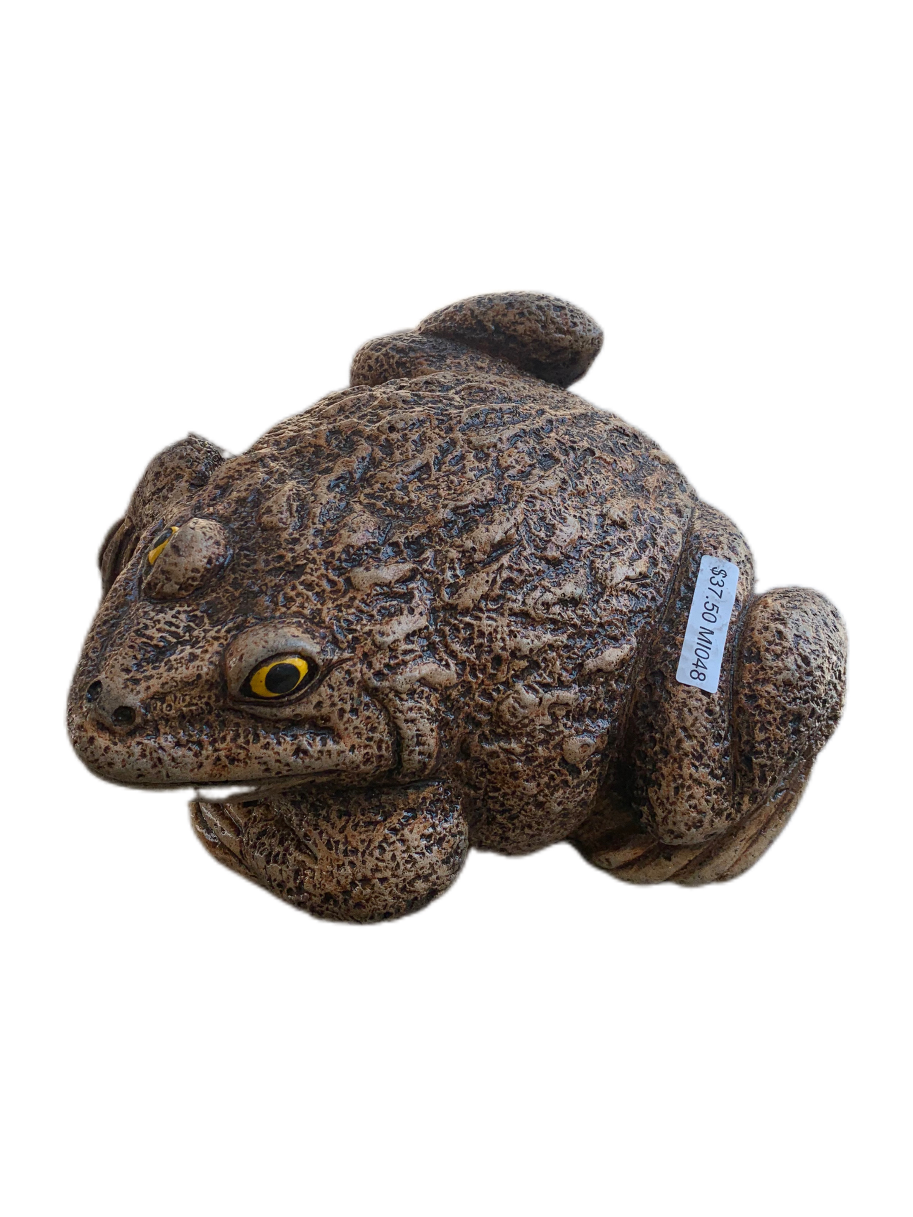 frog-concrete-medium