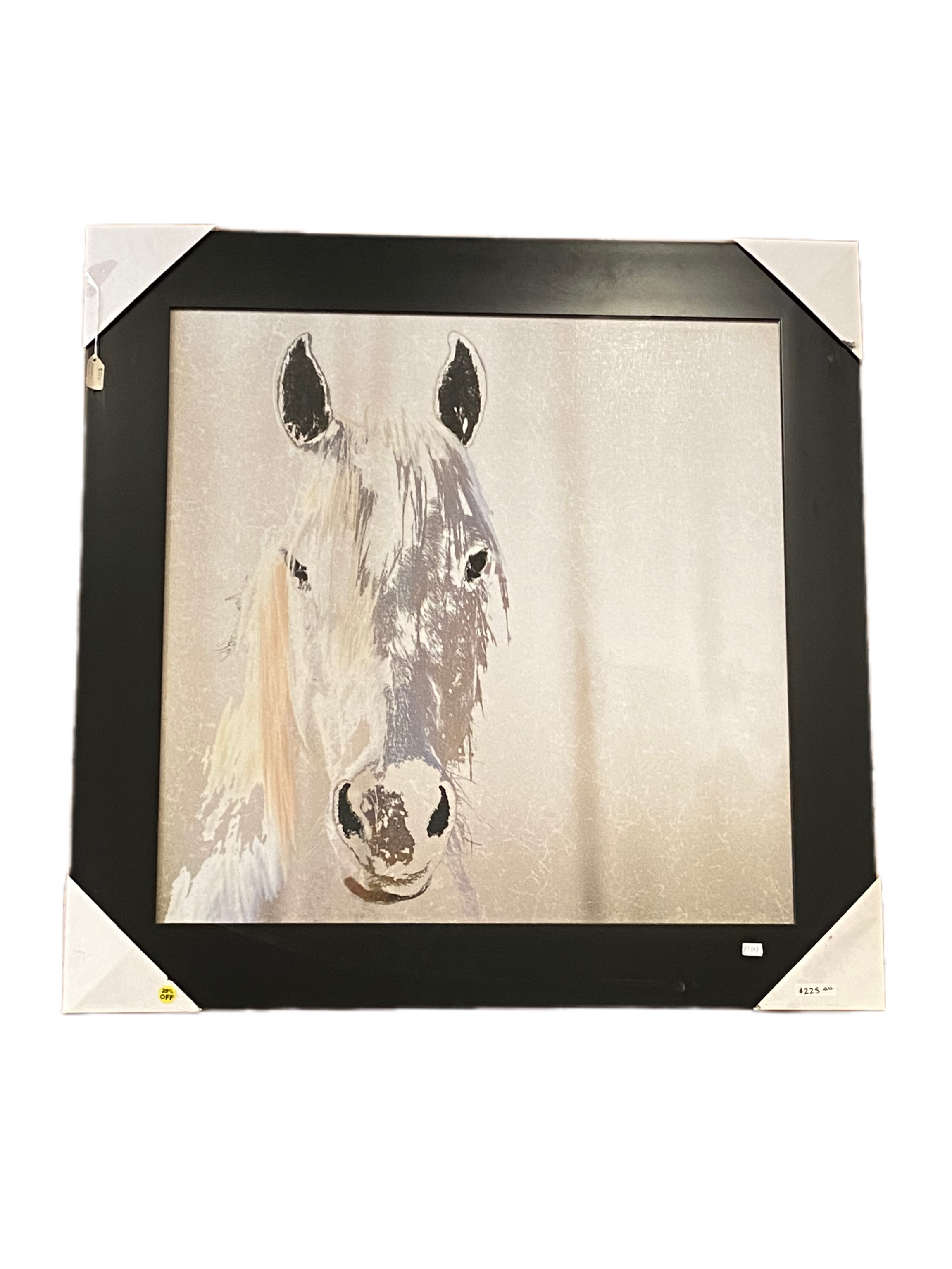 horse-in-white-painting