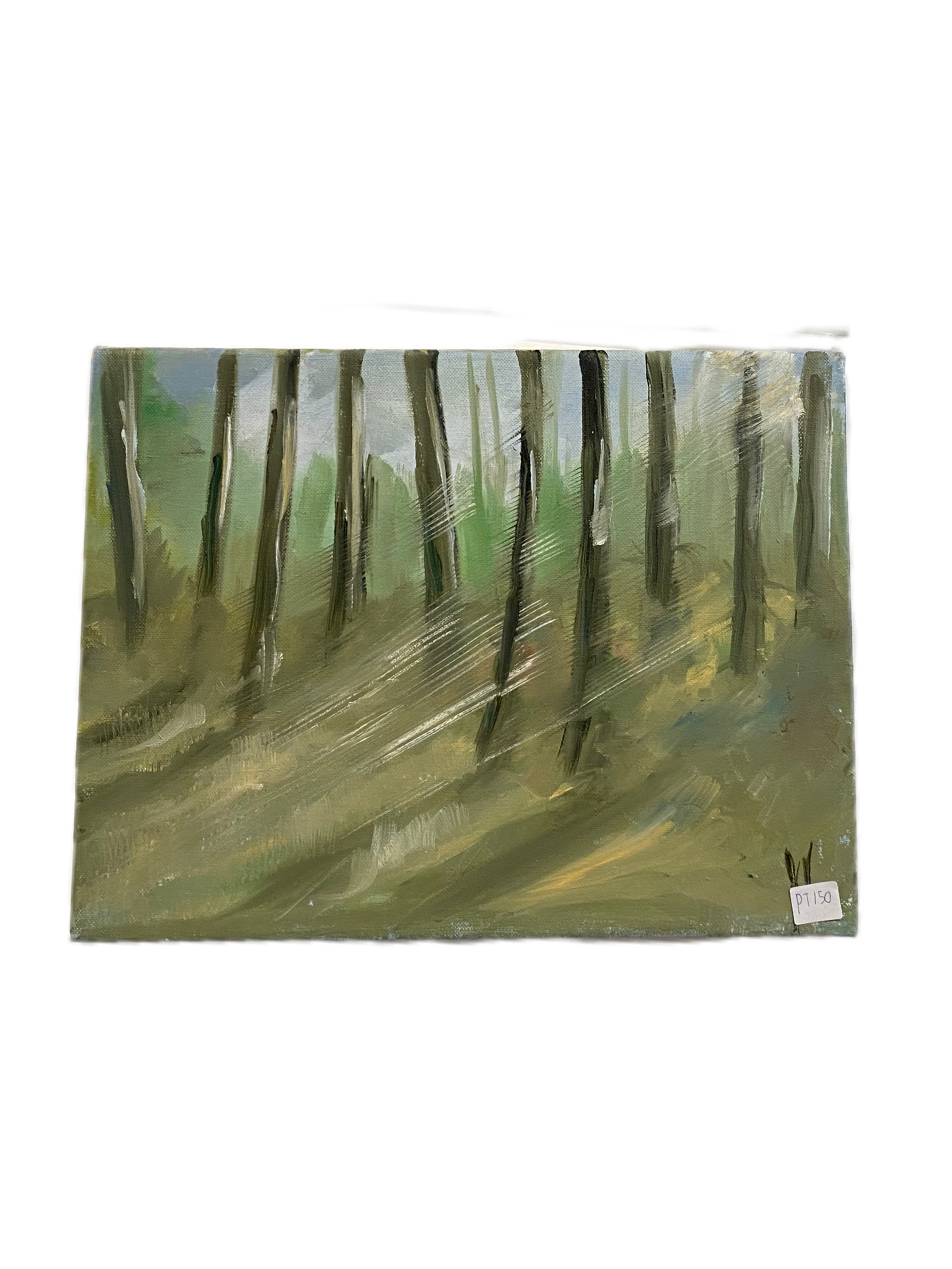 forest-grass-painting